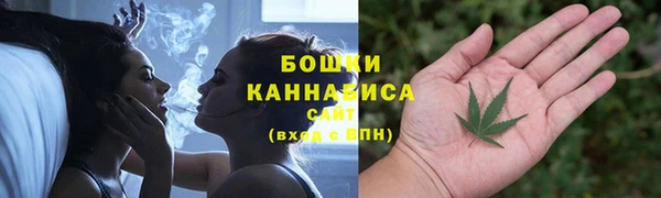 трава Дмитриев