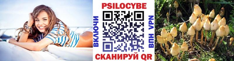 Псилоцибиновые грибы Psilocybine cubensis  Купить закладки  Адыгейск 